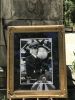 Filename=IMG_2264_28Medium29.jpeg
Filesize=326KiB
Dimensions=768x1024
Date added=May 10, 2018 IMG_2264_28Medium29.jpeg