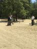 Filename=IMG_2275_28Medium29.jpeg
Filesize=372KiB
Dimensions=768x1024
Date added=May 10, 2018 IMG_2275_28Medium29.jpeg