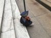 Filename=IMG_3658_28Medium29.jpeg
Filesize=269KiB
Dimensions=1024x768
Date added=May 10, 2018 IMG_3658_28Medium29.jpeg